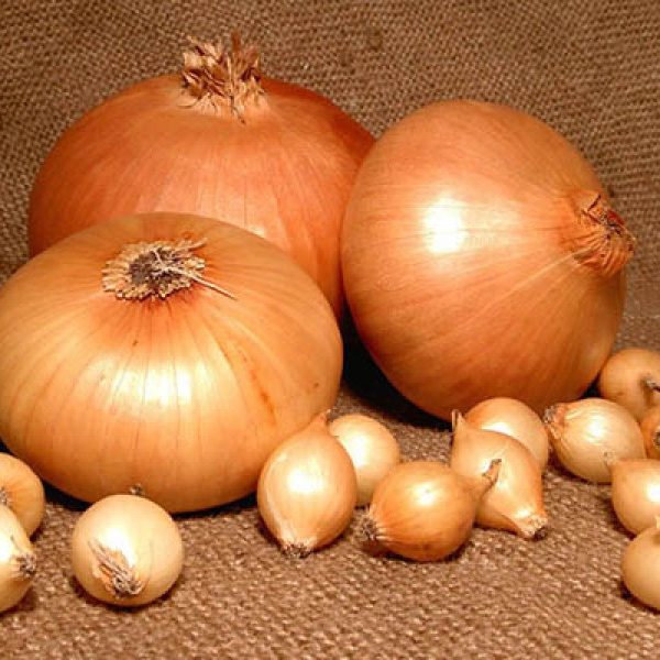 Зеркала solaris onion